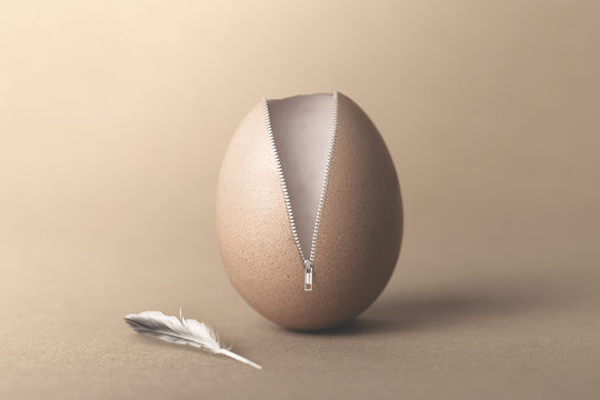 unzipped surreal egg