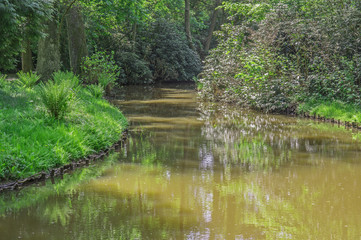 Rzeka wiosną w parku.
