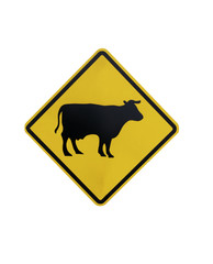 yellow Traffic Signs” Beware of cow or animal  “ isolated at on white background of file with Clipping Path .