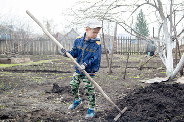 the boy works in the garden, harrows the ground