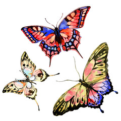 Naklejka premium beautiful color butterflies, set, watercolor, isolated on a white