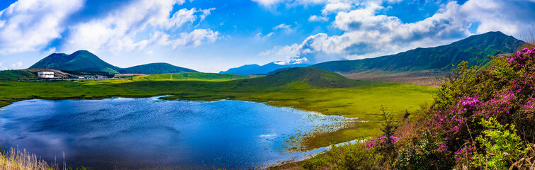 新緑の草原 阿蘇 草千里