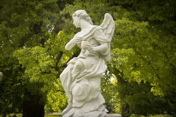 angel statue in the garden