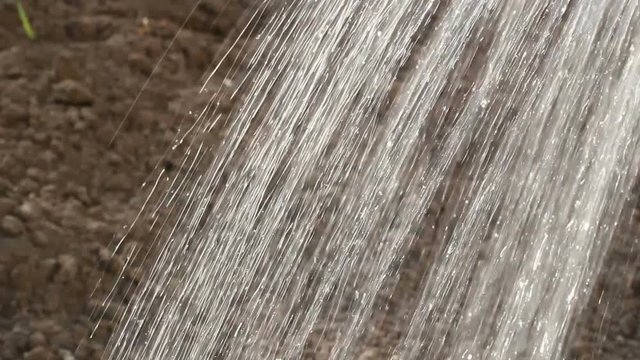 Pouring water from watering can on the priming