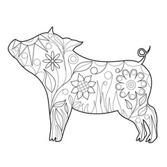 Beautiful doodle symbol of the year 2019 pig for coloring of anti stress