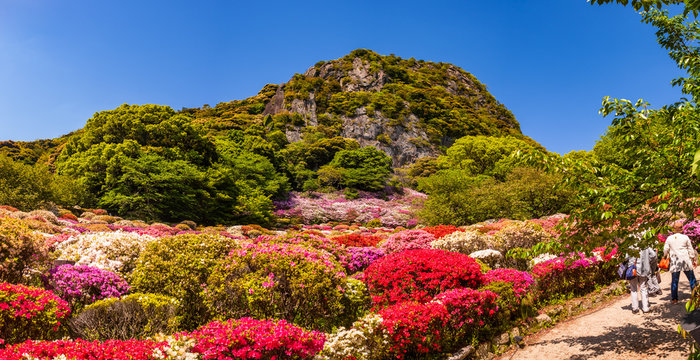 御船山楽園_佐賀県武雄市