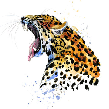 Leopard Hand Drawn Watercolor Illustration 