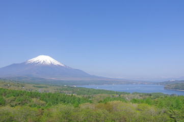 Fototapeta na wymiar パノラマ台からの富士山