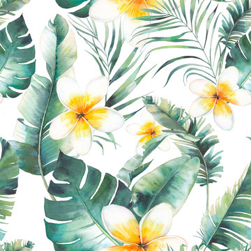 Summer plumeria flowers, palm tree and banana leaves seamless pattern. Watercolor floral texture with white flowers, green branches on white background. Hand drawn tropical wallpaper design