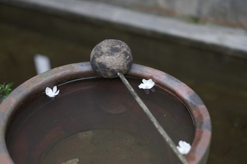 Stone vessel with water and petals of white flowers for ritual bathing