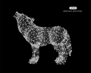 Vector abstract illustration of wolf.