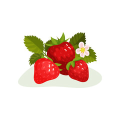 Ripe strawberry with green leaves and blooming flower. Sweet summer berry. Flat vector element for juice or yogurt packaging