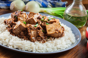 Mapo Tofu - sichuan spicy dish served with rice