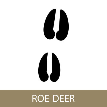 Track of Forest Animal, Trace of a Roe Deer Animal , Vector Illustration