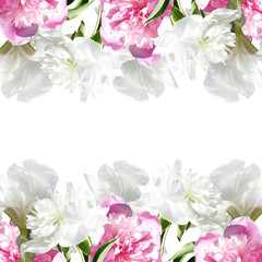 Beautiful floral background with peonies and irises 
