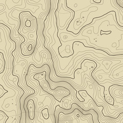 Topographic map background concept with space for your copy. Topography lines art contour , mountain hiking trail , Shape vector design. Computer generated   .