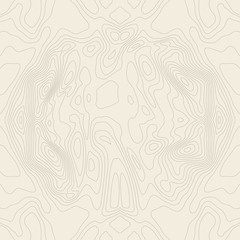 Topographic map background concept with space for your copy. Topography lines art contour , mountain hiking trail , Shape vector design. Computer generated   .