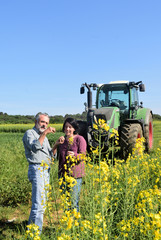 couple of farmers in a canola field with a tractor