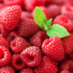 Fresh organic raspberries with mint leaves. Fruit background with copy space. Summer and berries harvest concept. Vegan, vegetarian, raw food.