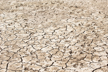  beach and tropical sea