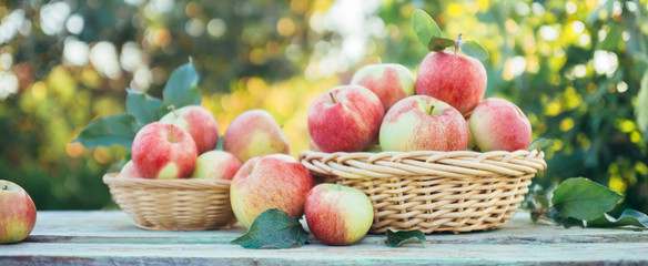 Organic apples in a baskets
