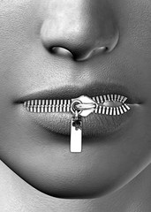 Zipped Mouth - 3D © McCarony
