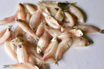 Fresh mackerel fish stack on white table 