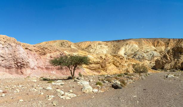 Beautiful geological formation in desert, colorful sandstone canyon Red Canyon Negev desert, Israel