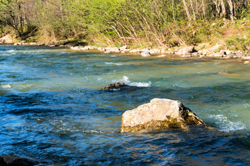 Landscape with mountain river and forest