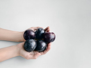 Fresh plums photo Girl is holding a handful of ripe plums in her hands Photo with copy space processed by VSCO filter Minimalist style