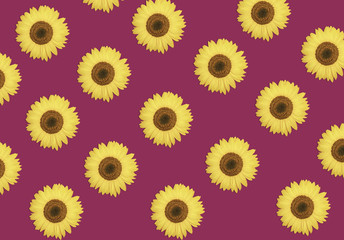 Bloom pattern from sunflowers or beautiful spring vibrant floral background. Summer design. Concept botany.
