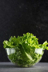 lettuce leaves in glass bowl on black background in water splashes