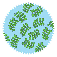 seal stamp with leaves pattern over white background, colorful design. vector illustration
