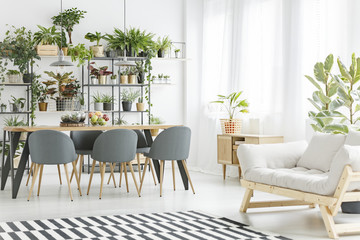 Natural open space interior