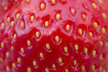 Organic fresh strawberries