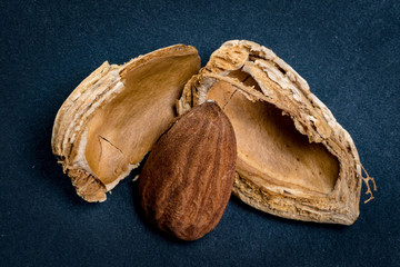 Almond and Broken Shell