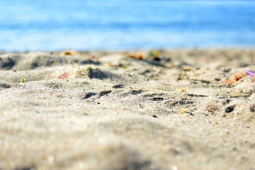 beach for product photography