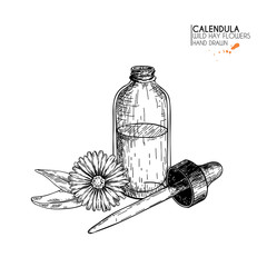 Hand drawn set of essential oils. Vector calendula flower. Medicinal herb with glass dropper bottle. Engraved art. Good for cosmetics, medicine, treating, aromatherapy, package design health care.