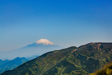 Naklejka na ściany i meble 新緑の山と富士山