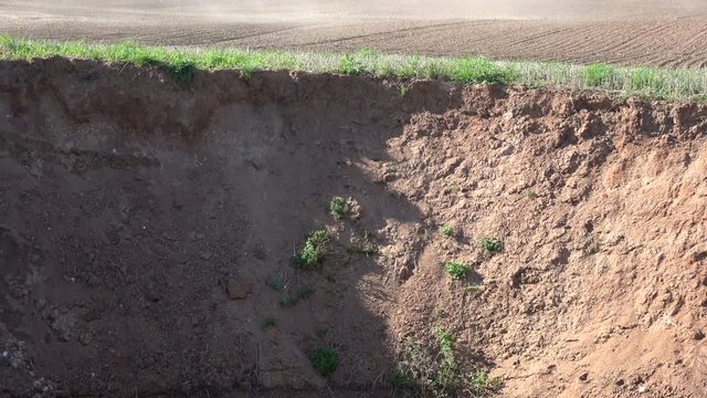 New karst sinkhole on agriculture farm field in North Lithuania