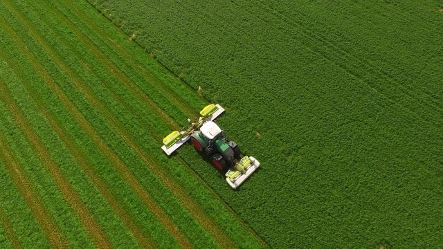 Aerial view of a tractor mowing a green fresh grass field, 
a farmer in a modern tractor mowing a green fresh grass field on a sunny day.