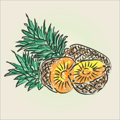 Pineapple Stroke Fruit Cute Vector Drawing