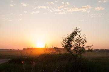 Fototapeta na wymiar 2912925 Green field and beautiful sunset,