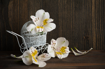 Fototapeta na wymiar White yellow lilly flowers