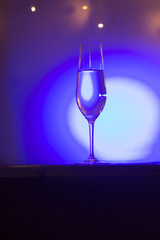 Champagne glass in disco party bar