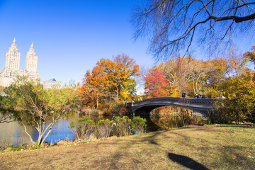 Fototapeta na wymiar New York, Central Park