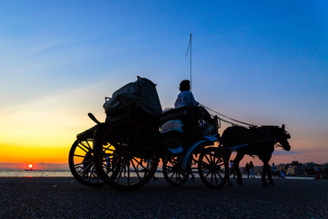 Naklejka premium horse carriage ride at sunset