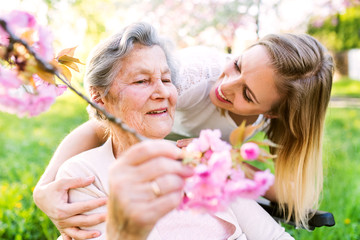 Elderly grandmother in wheelchair with granddaughter in spring nature.