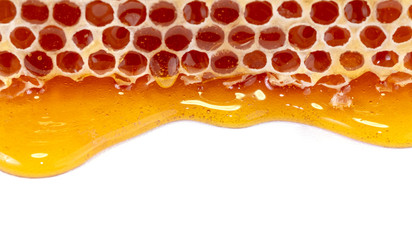 honey and honey comb with wooden stick