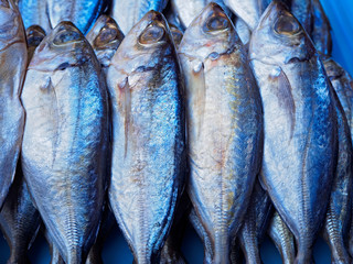 Fish mackerel in asia Thai.